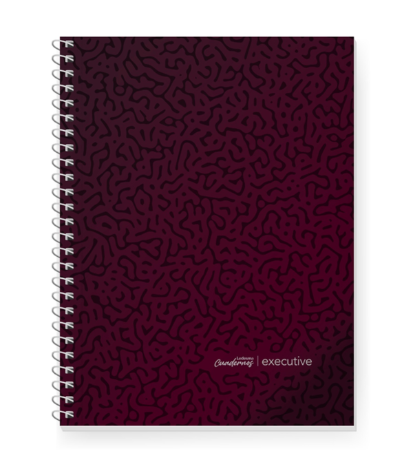 CUADERNOLA LEDESMA EXECUT X 84 HS BORDO